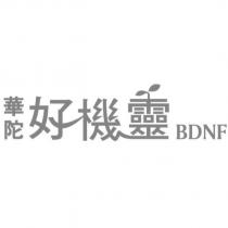 華陀好機靈 BDNF 及圖