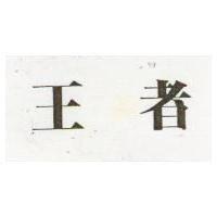 王者(禁止處分)1