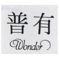 普有 WONDER 