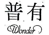 普有 WONDER 