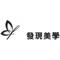 發現美學及圖