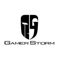 GAMER STORM 及圖