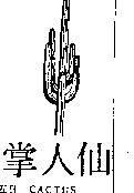 仙人掌 CACTUS 及圖 