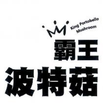 霸王波特菇 King Portobello Mushroom 及圖