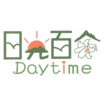 日光百合 Daytime 及圖