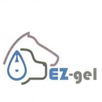 EZ-gel 及圖