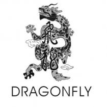 飛龍 dragonfly 及圖