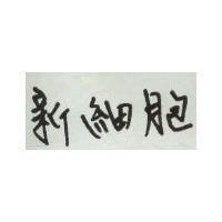 新細胞