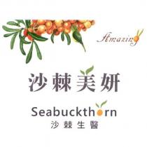 沙棘美妍、沙棘生醫、 Seabuckthorn 、 Amazing 及圖