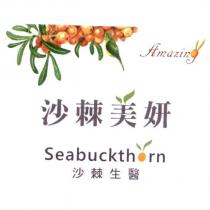 沙棘美妍、沙棘生醫、 Seabuckthorn 、 Amazing 及圖