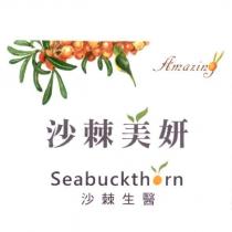 沙棘美妍、沙棘生醫 Seabuckthorn 、 Amazing 及圖