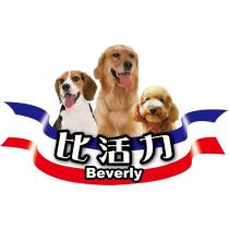 比活力 Beverly 及圖