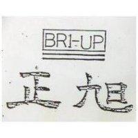 正旭 BRI UP 及圖 