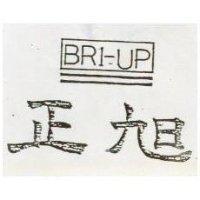 正旭 BRI UP 及圖 