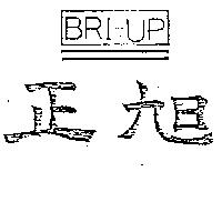正旭 BRI UP 及圖
