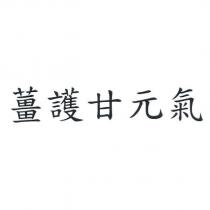 薑護甘元氣