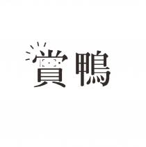 賞鴨及圖