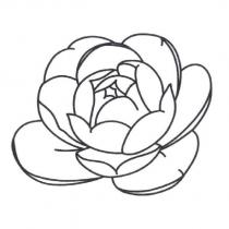 花圖