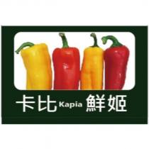 Kapia 、卡比鮮姬及圖