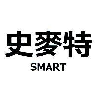 史麥特 SMART