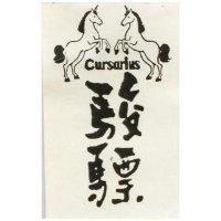 駿驃 CURSARIUS 及圖 