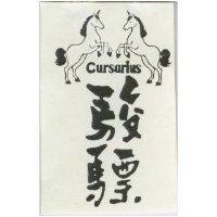 駿驃 CURSARIUS 及圖 