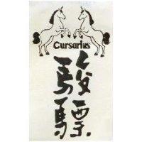 駿驃 CURSARIUS 及圖 