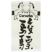駿驃及圖 Cursarius 