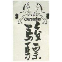 駿驃 CURSARIUS 及圖 