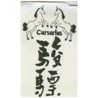 駿驃 CURSARIUS 及圖 