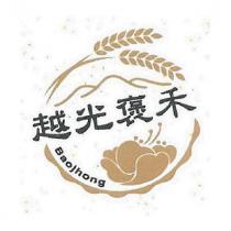 越光褒禾 Baojhong 及圖
