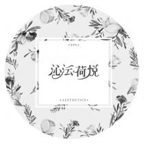 沁沄荷悅 AESTHETICS 及圖