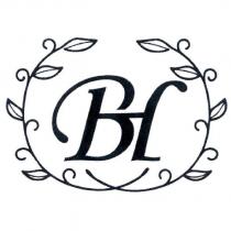 BH 及圖