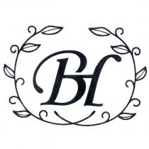 BH 及圖