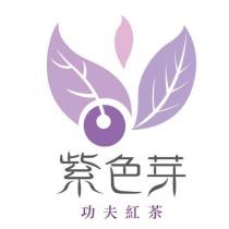 紫色芽功夫紅茶及圖