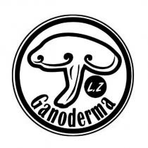 L,Z Ganoderma 及圖