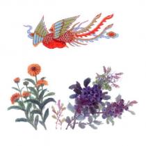 鳳凰金盞花藍莓設計圖