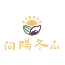 向陽冬瓜及圖