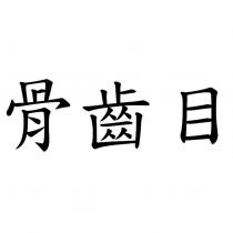 骨齒目