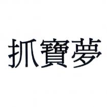 抓寶夢