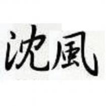 沈風