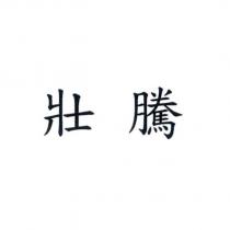 壯騰