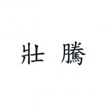 壯騰