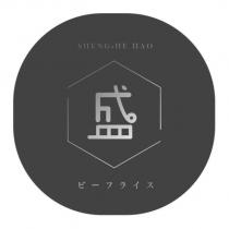 盛 SHENG-HE HAO ビーフライス及圖