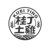 桂丁土雞 KUEI TING 及圖