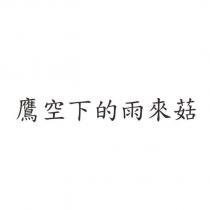 鷹空下的雨來菇