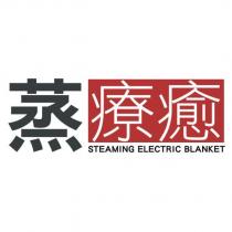 蒸療癒 STEAMING ELECTRIC BLANKET