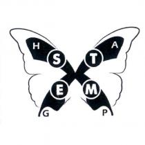 X 蝴蝶圖 STEM HAGP