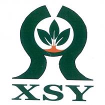 XSY 及圖