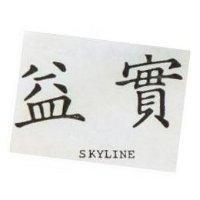 益實 SKYLINE 